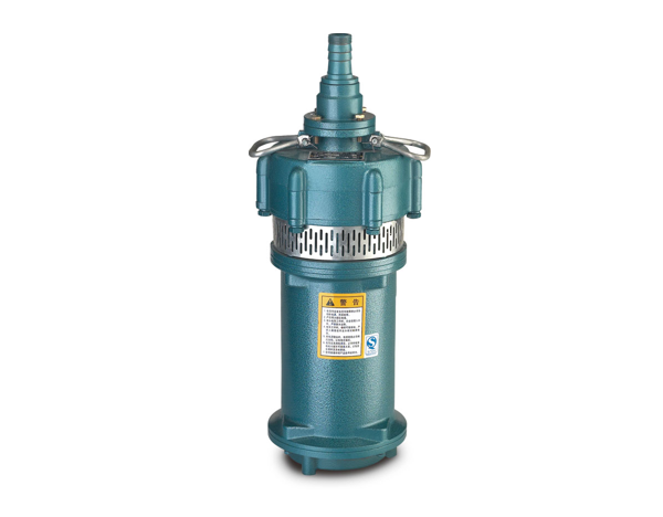 大元泵业QD/Q 系列干式潜水电泵1.png